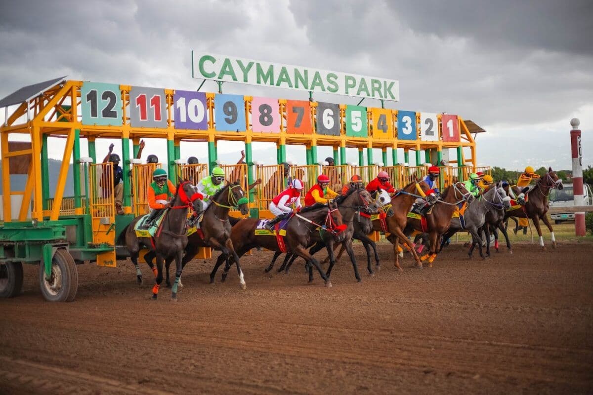 Caymanas Park