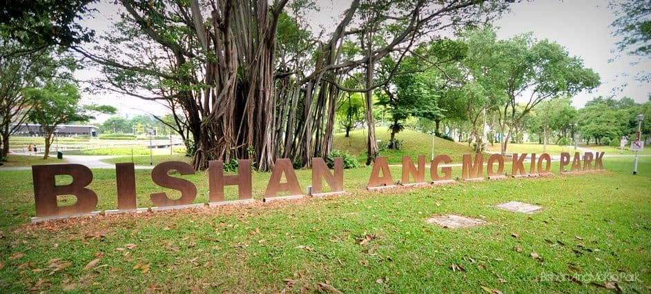 Bishan-Ang Mo Kio Park 