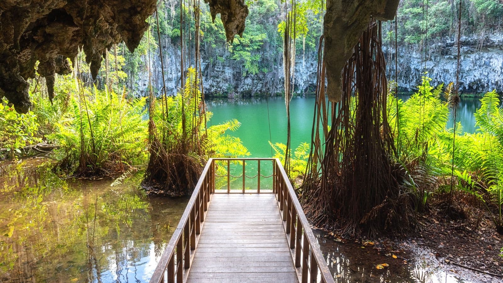 The Three Eyes National Park