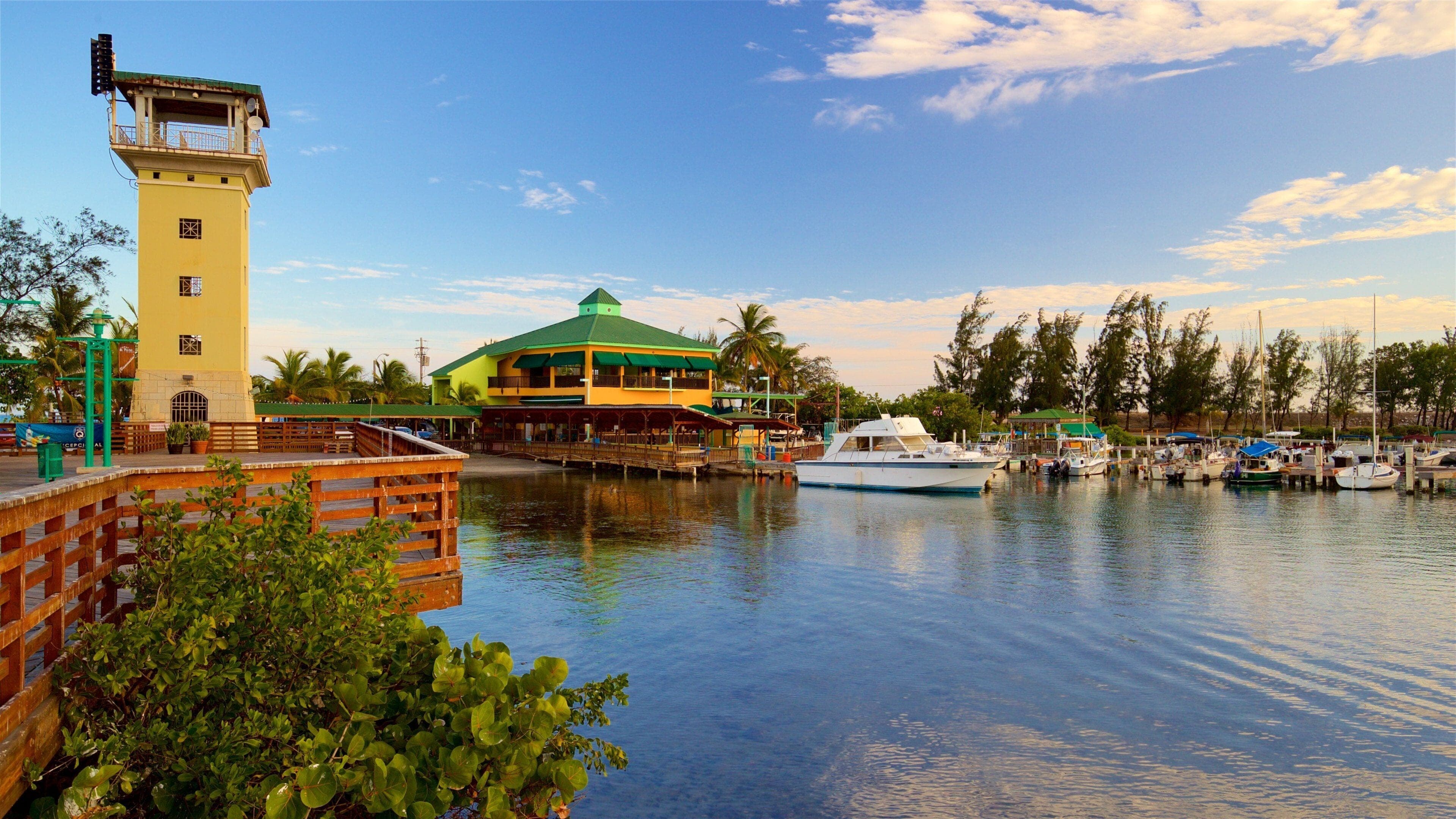 La Guancha